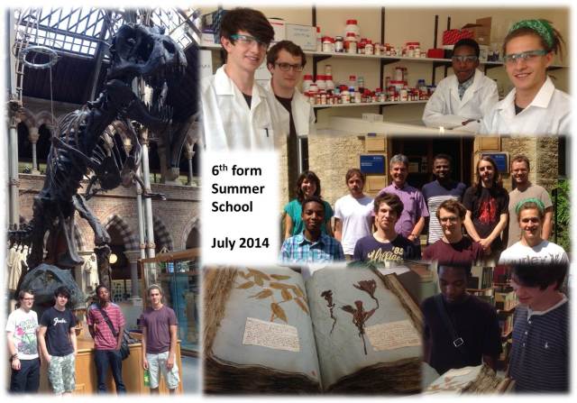Sixthform summer school2014