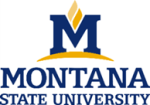 MontanaState_no box
