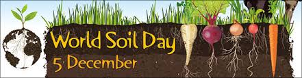 world soil day logo
